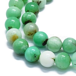 Natürliche Chrysopras-Perlenstränge&nbsp;G-K245-A12-05