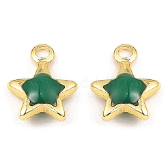 Messing Emaille Anhänger / charms&nbsp;KK-K337-06G