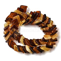 Naturbernsteinperlen Stränge&nbsp;G-K376-C04-01