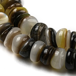 Natur schwarz Lippe Shell Perlen Stränge&nbsp;BSHE-Z005-06