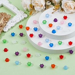 800 Stück transparente Perlenkappen aus Acryl in 8 Farben.&nbsp;FACR-HS0001-01