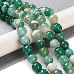 Chapelets de perles en agate à rayures naturelles/agates à bandes&nbsp;G-Z060-A01-C01