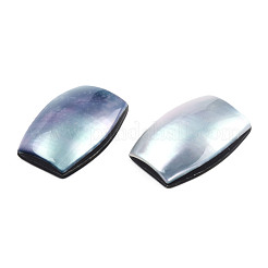 Cabujones naturales turbo cornulus/top shells&nbsp;SSHEL-N003-153A