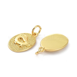 Messing Anhänger & Charms&nbsp;KK-B046-05G