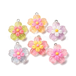 Pendentifs en résine transparente&nbsp;RESI-A046-05A