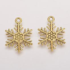 Pendentifs en alliage de style tibétain&nbsp;TIBEP-3264-AG-NR