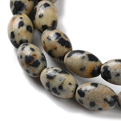 Dalmata naturale perline di diaspro fili&nbsp;G-I369-B03-01