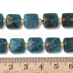 Natürliche Apatit Perlen Stränge&nbsp;G-L642-L10-10mm