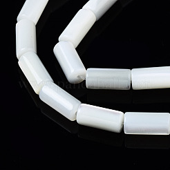 Fili di perle di conchiglia trochid naturale / trochus&nbsp;SSHEL-S266-020A-04