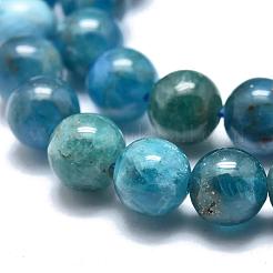 Perline apatite naturale fili&nbsp;G-O186-E02-6mm