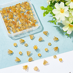100 capuchon de perle en laiton de style 2 pièces&nbsp;KK-NB0003-25