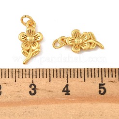 Messing Anhänger & Charms&nbsp;KK-K364-27A-G