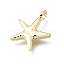 Pendentifs en alliage&nbsp;PALLOY-B016-02G