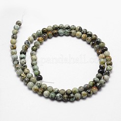 Natürliche afrikanische türkis (jasper) perlen stränge&nbsp;X-G-D840-90-4mm