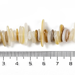 Natürliche Trochusmuschelperlenstränge&nbsp;BSHE-H109-08