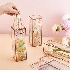 Transparente Geschenk-Trageboxen aus Haustierplastik&nbsp;CON-WH0085-61C-01