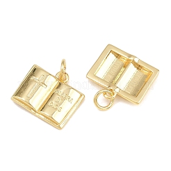Messing Anhänger & Charms&nbsp;KK-L275-50G-01