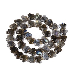 Chapelets de perles en labradorite naturelle &nbsp;G-N371-10A-01