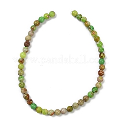 Gefärbte natürliche Regalit/Imperial Jaspis/Meeressediment Jaspis Perlen Stränge&nbsp;G-B124-C04-06
