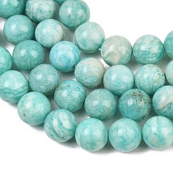 Fili di perline amazonite naturale&nbsp;G-F461-12-10mm-01