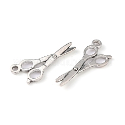 Aluminium Anhänger & Charms&nbsp;PALLOY-A15523-AS-NF