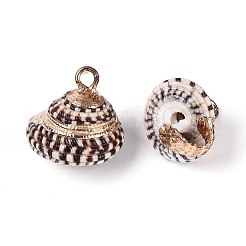Pendenti in conchiglia naturale elettrolitica&nbsp;BSHE-T015-05