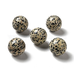 Perles de jaspe dalmatien naturelle, pas de trous / non percés, ronde, 25~25.5mm