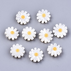 Coquille de nacre blanche naturelle, fleur, couleur de coquillage, 12x4.5mm, Trou: 0.9mm