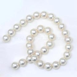 Chapelets de perles en coquille, perle d'imitation de perle, Grade a, ronde, cornsilk, 10mm, Trou: 1mm, 38~40 pcs / chapelet, 15.7 pouce