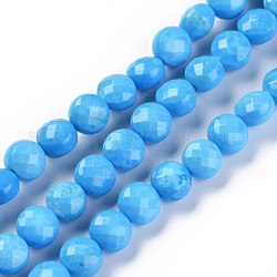 Chapelets de perles en howlite naturelle, teinte, facette, plat rond, bleu profond du ciel, 6~6.5x5mm, Trou: 0.8mm, environ 63 / pcs brins, 15.35 pouce (39 cm)