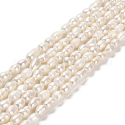 Fili di perle di perle d'acqua dolce coltivate naturali, riso, grado 2a+, papayawhip, 6~12.5x5~6mm, Foro: 0.5 mm, circa 44~45pcs/filo, 13.78 pollice (35 cm)