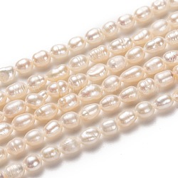 Fili di perle di perle d'acqua dolce coltivate naturali, riso, bisque, 5~7x4~5mm, Foro: 0.5 mm, circa 43~55pcs/filo, 13.39~13.78'' (34~35 cm)