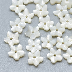 Shell perle bianche naturali, perle di madreperla, fiore, colore conchiglia, 6x6x2mm, Foro: 0.8 mm