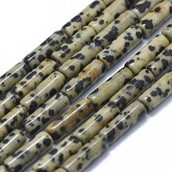 Chapelets de perles en jaspe dalmatien naturelle, colonne, 11~15x3.5~4.5mm, Trou: 1~1.2mm, Environ 28~30 pcs/chapelet, 15.1~15.9 pouce (38.5~40.5 cm)