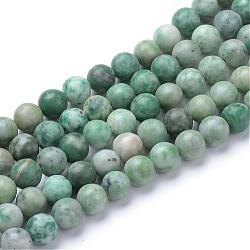 Natural Qinghai Jade Beads Strands, Round, 8~8.5mm, Hole: 1mm, about 47pcs/strand, 15.5 inch