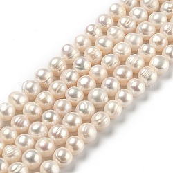 Fili di perle di perle d'acqua dolce coltivate naturali, tondo, bisque, 7.5~10mm, Foro: 0.6 mm, circa 42pcs/filo, 14.33 pollice (36.4 cm)