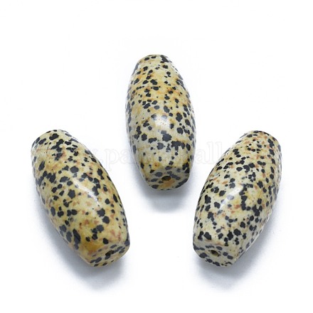 Jaspe dalmatien naturel deux perles de trous semi-percés G-G795-11-13-1