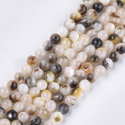 Black Lip Shell Beads Strands SHEL-S274-92D-1