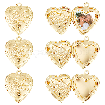 Beebeecraft 1 Box 10Pcs Heart Photo Frame Pendant Charms 18K Gold Plated Heart Hope Photo Locket Charms with Loop for Jewelry Making Necklace Bracelet DIY Crafts ZIRC-BBC0002-10-1