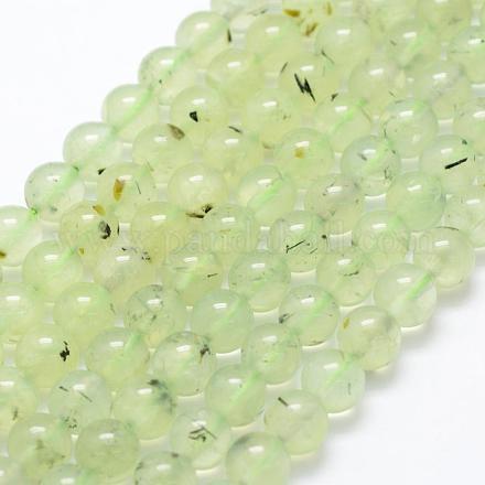 Chapelets de perles en préhnite naturelle G-P322-47-14mm-1