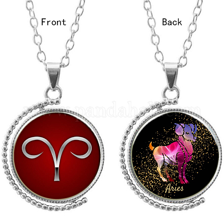 Double-sided Picture Glass Rotatable Pendant Necklaces NJEW-F200-19P-1