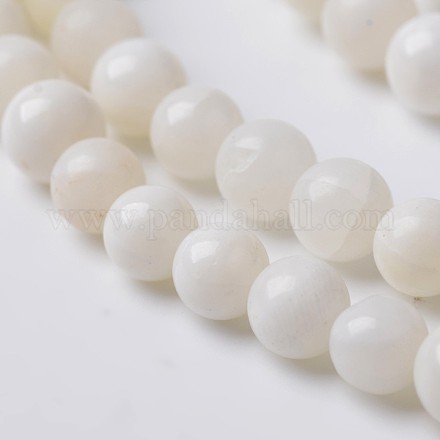 Coquille naturelle brins de perles rondes X-BSHE-O016-B-03-1