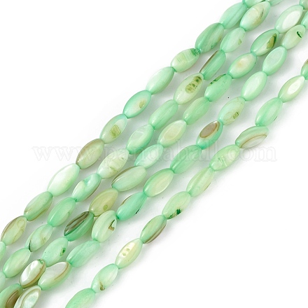 Brins de perles d'eau douce naturelles teints en coquille SHEL-M018-13-03-1
