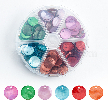 SuperZubehör 180 Stück 6 Farben gefärbte natürliche Muschelanhänger SHEL-FH0001-19-1