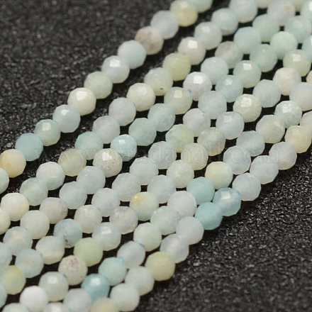 Chapelets de perles en amazonite naturelle G-K182-2mm-02-1