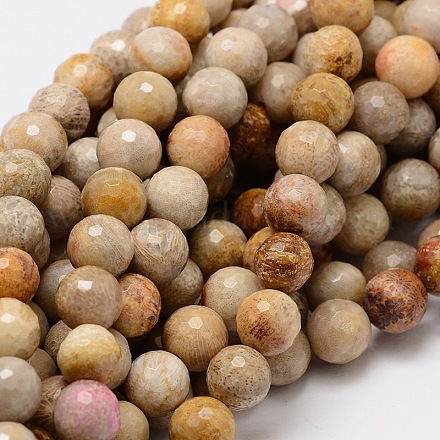 Faceted Round Natural Fossil Coral Bead Strands G-L437-03-10mm-1