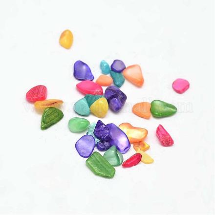 Dyed Natural Freshwater Shell Chip Beads BSHE-L010-02-1