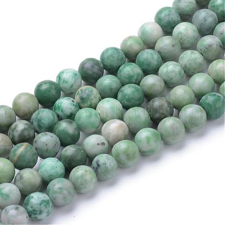Qinghai naturelle perles de jade brins G-T055-8mm-16-1