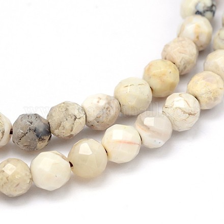 Faceted Round Natural White African Opal Beads Strands G-P114-12-5.5mm-1