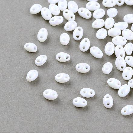 Perles de rocaille avec 2 trou X-GLAA-R159-401-1
